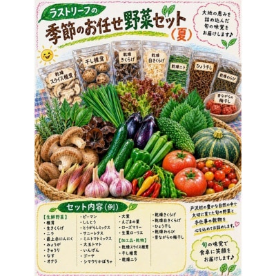 野菜詰合せ 農家のおまかせ 四季の恵BOX 4～6品 旬の野菜を1回お届け F7W-0499