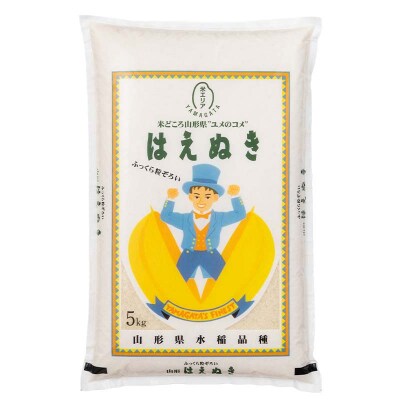 ≪新米先行予約≫【定期便6回】令和8年度 戸沢村産 はえぬき 5kg×6回 精米 F7W-0530