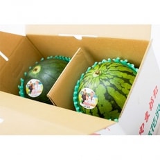 【観光物産】尾花沢産小玉(約2～4kg)スイカ×2　　 | ふるさと納税のお礼品