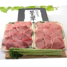 [おおむら夢ファーム シュシュ] 長崎和牛 モモ焼肉500g