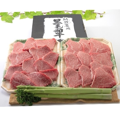 【おおむら夢ファーム シュシュ】 長崎和牛　モモ焼肉500g