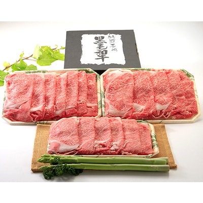 【おおむら夢ファーム シュシュ】 長崎和牛　リブローススライス880g
