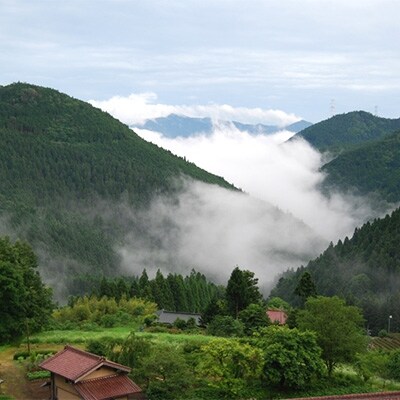 ≪おもてや園謹製≫　煎茶・ほうじ茶・和紅茶詰合わせ