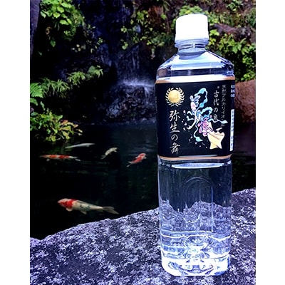 奇跡の飲む温泉水「真木温泉 弥生の舞」　飲泉力1000ml 10本入り
