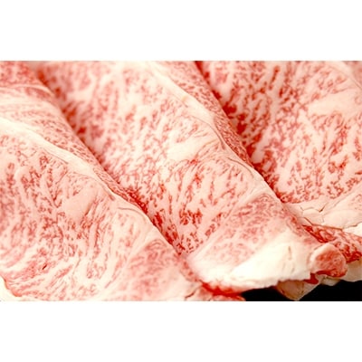 【平成31年3月発送】「A5飛騨牛」ロース又はカタロース　すき焼き・しゃぶしゃぶ用　700g