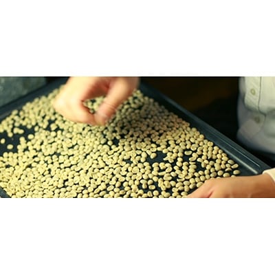 【自分に合った焙煎度合を見つけよう!】ブレンド3種セット×各150g【豆】