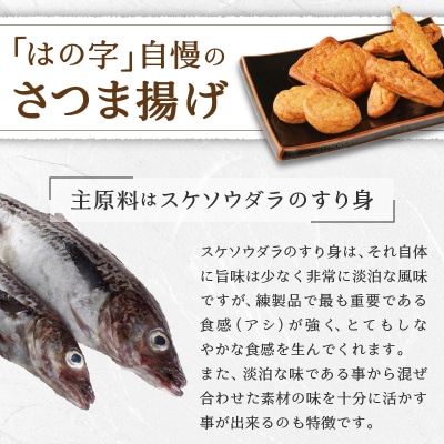 焼津 産 さつま揚げ セット 900g以上 詰合せ(a10-545)