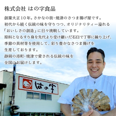 焼津 産 さつま揚げ セット 900g以上 詰合せ(a10-545)