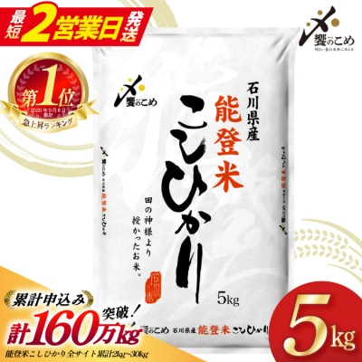 【最短2営業日発送】【令和7年】能登米 こしひかり 5kg  [38601139-sp]