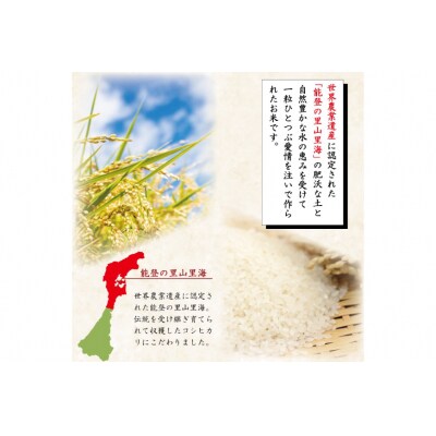 米 令和6年 能登米 こしひかり 精米 5kg [中橋商事 石川県 宝達志水町 38601139] 