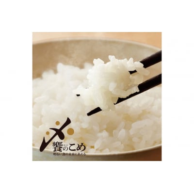 米 令和7年 能登米 こしひかり 精米 10kg [中橋商事 石川県 宝達志水町 38601194]