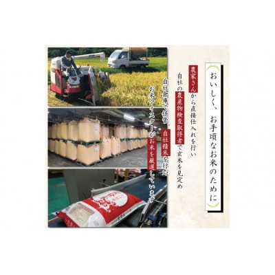 米 令和7年 能登米 こしひかり 精米 10kg ×2袋 計20kg [中橋商事 38601195]