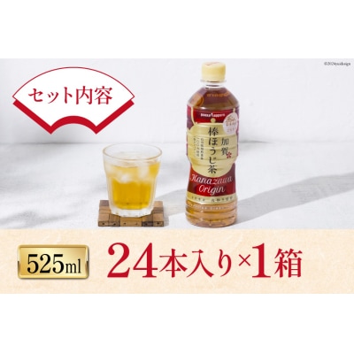 ペットボトル 加賀 棒ほうじ茶 525ml 24本 1箱 [油谷製茶 宝達志水町 38601017]