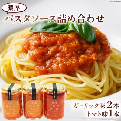 濃厚パスタソース詰め合わせ<モアショップヤマモト>【石川県宝達志水町】 [38600214]