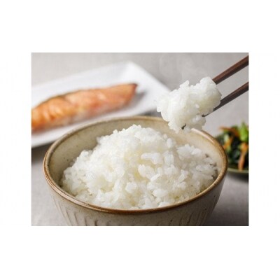 のと米 こしひかり 精米 5kg [はくい農業協同組合 石川県 宝達志水町 38601248] 