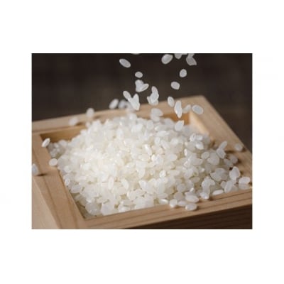 のと米 こしひかり 精米 30kg [はくい農業協同組合 石川県 宝達志水町 38601251]