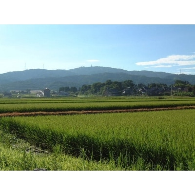 米 コシヒカリ 「弘宝米」 玄米 10kg [中西農場 石川県 宝達志水町 38601279]