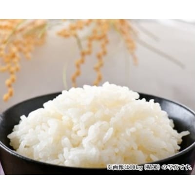 米 コシヒカリ 「弘宝米」 精米 10kg ×2袋 計 20kg [中西農場 38600983]