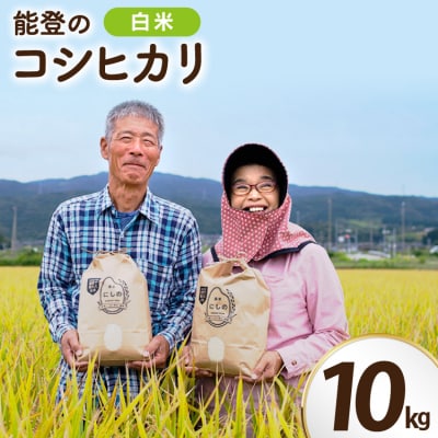 【期間限定発送】 米 令和8年 コシヒカリ 10kg [農家にしの 宝達志水町 38601172]