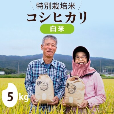 先行受付 特別栽培米 コシヒカリ 白米 5kg 農家にしの 38600240