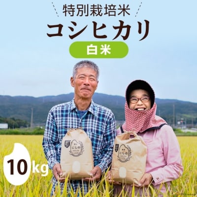 特別栽培米 コシヒカリ 白米 10kg×1 [農家にしの 石川県 宝達志水町 38600887] 米