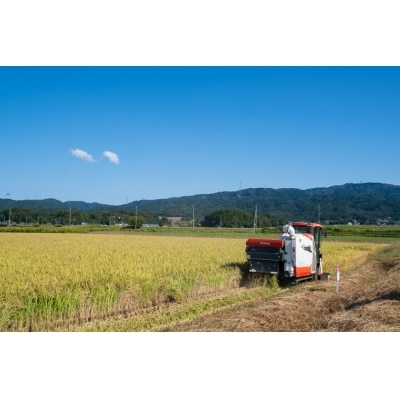 特別栽培米 コシヒカリ 白米 10kg×1 [農家にしの 石川県 宝達志水町 38600887] 米