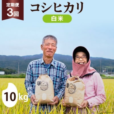 【期間限定発送】 米 定期便 コシヒカリ 白米 10kg 3回 総計 30kg [38601173]