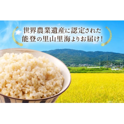 期間限定発送 米 定期便 コシヒカリ 10kg 3回 計 30kg [農家にしの 38601173]