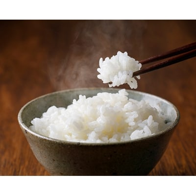 【期間限定発送】 米 定期便 コシヒカリ 白米 10kg 3回 総計 30kg [38601173]