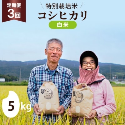定期便 特別栽培米 コシヒカリ 白米 5kg×3回 総計15kg [農家にしの 38600836]