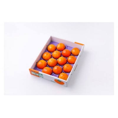 先行受付 紋平柿(さわし柿)1箱(2.5kg) [東間生産組合 宝達志水町 38600413] 