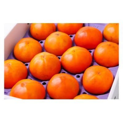 先行受付 紋平柿(さわし柿)1箱(2.5kg) [東間生産組合 宝達志水町 38600413] 