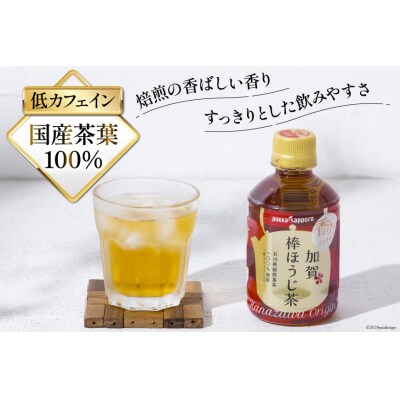 6回定期便 加賀 棒ほうじ茶 275ml×24本×6回 [油谷製茶 宝達志水町 38601033] 