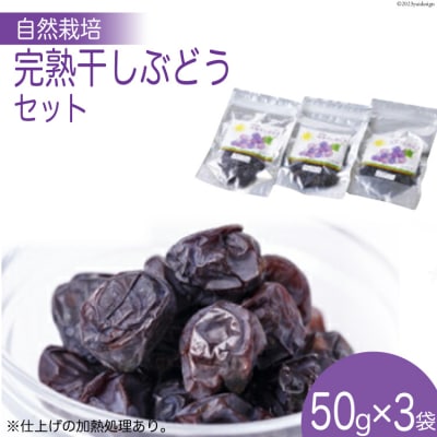自然栽培 完熟干しぶどう セット (50g×3袋) [砂山ぶどう園 宝達志水町 38600641] 