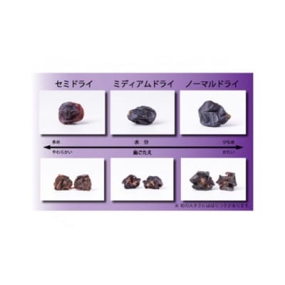 自然栽培 完熟干しぶどう セット (50g×3袋) [砂山ぶどう園 宝達志水町 38600641] 