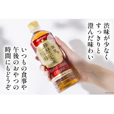 6回定期便 加賀 棒ほうじ茶 525ml×24本×6回 [油谷製茶 宝達志水町 38601035] 