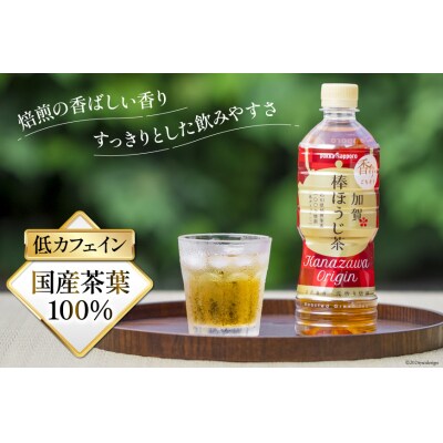 3回定期便 加賀 棒ほうじ茶 525ml×24本×3回 [油谷製茶 宝達志水町 38601034] 