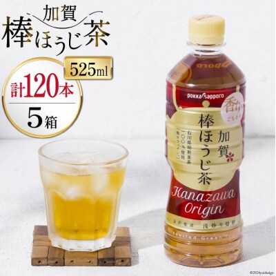  ペットボトル 加賀 棒ほうじ茶 525ml 24本 5箱 計120本 [油谷製茶 38601030