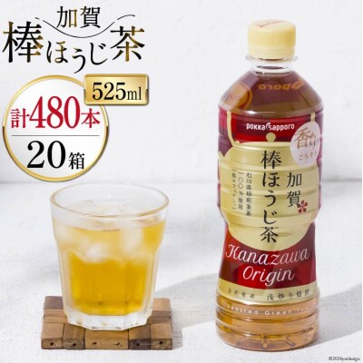  ペットボトル 加賀 棒ほうじ茶 525ml 24本 20箱 計480本 [38600767]
