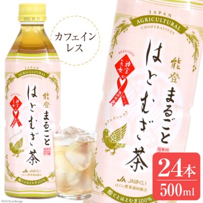 能登のはとむぎ茶　500ml<はくい農業協同組合>【石川県宝達志水町】 [38600289]
