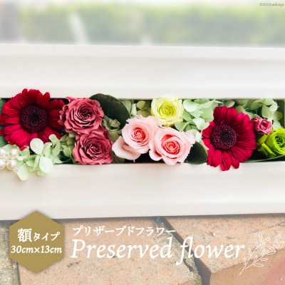 プリザーブドフラワー 額 花 ギフト / littleprincess [38600026]