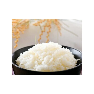 【3回 定期便 】米 コシヒカリ 「弘宝米」 精米 10kg 総計 30kg  [38601284]