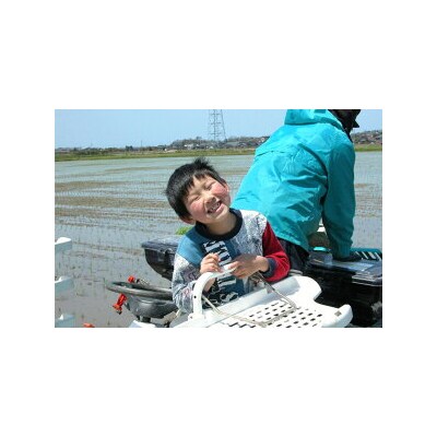 【3回 定期便 】米 コシヒカリ 「弘宝米」 精米 10kg 総計 30kg  [38601284]