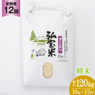 【12回 定期便 】米 コシヒカリ  「弘宝米」 精米 10kg 計120kg [38600990]