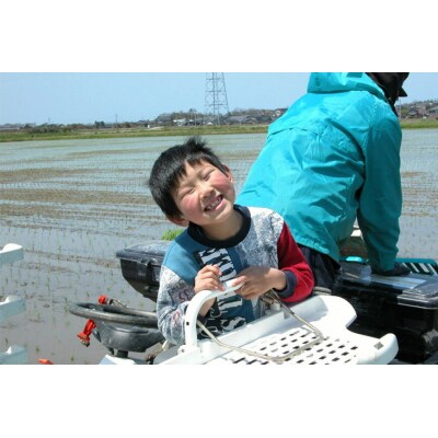 お米 定期便 3回 コシヒカリ「弘宝米」 精米 10kg×2袋 総計60kg [38601288] 