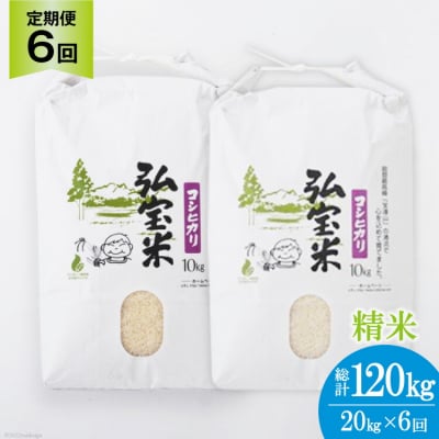 お米 定期便 6回 コシヒカリ「弘宝米」 精米 10kg×2袋 計120kg [38601289] 