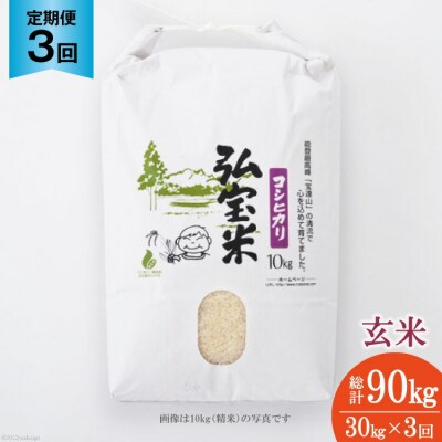 お米 定期便 3回 コシヒカリ「弘宝米」 玄米 30kg 計90kg [38601290] 