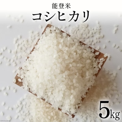 米 令和7年 能登米 コシヒカリ 精米 5kg [みどりの波 石川県 宝達志水町 38601256]