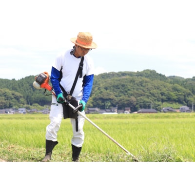 米 令和7年 能登米 コシヒカリ 精米 5kg [みどりの波 石川県 宝達志水町 38601256]
