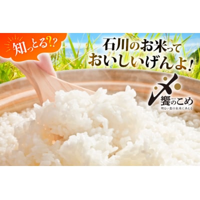 米 令和7年 ひゃくまん穀 精米 10kg [中橋商事 石川県 宝達志水町 38601201] お米